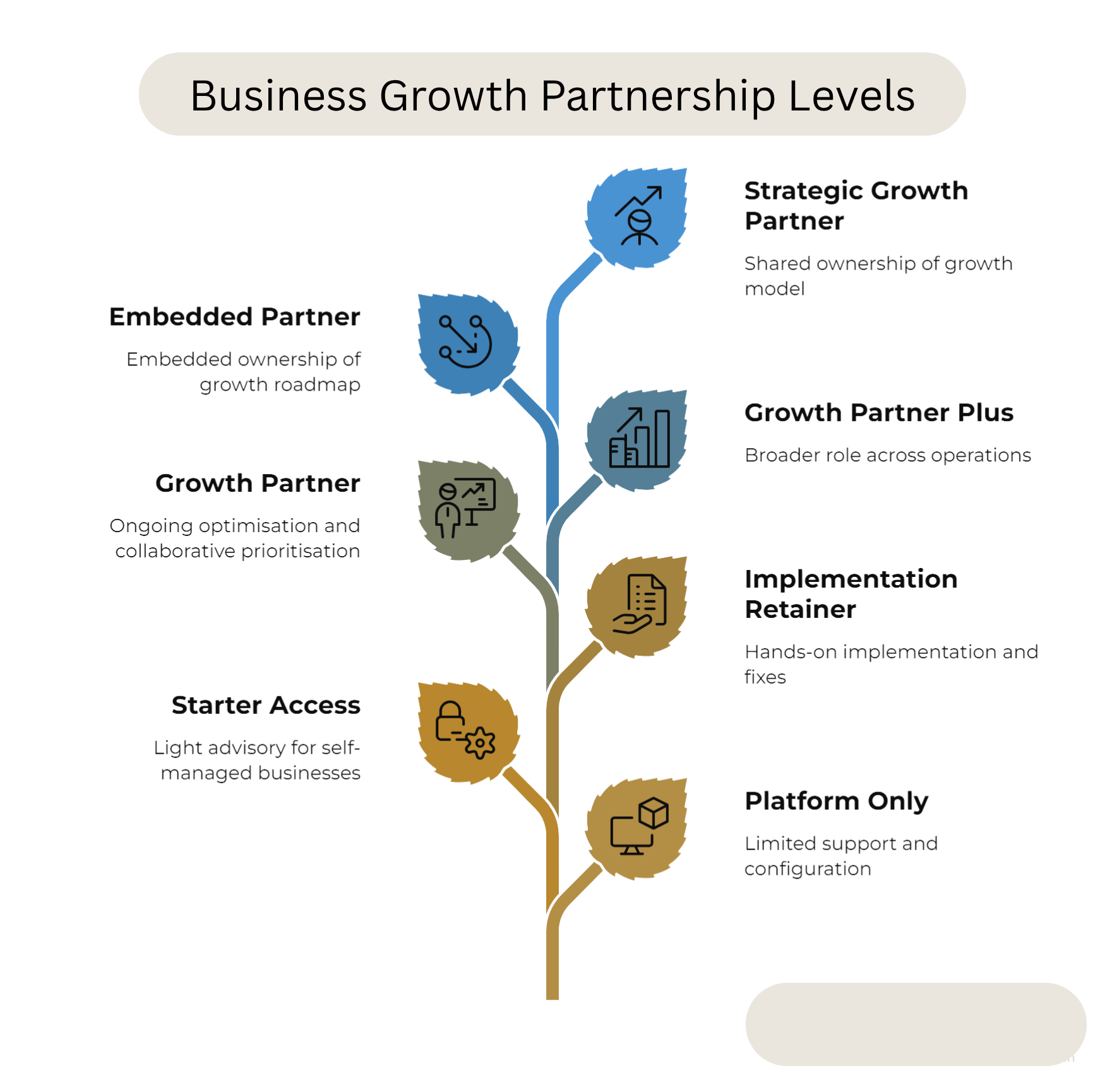 Business growth partnership levels infographic tree diagram